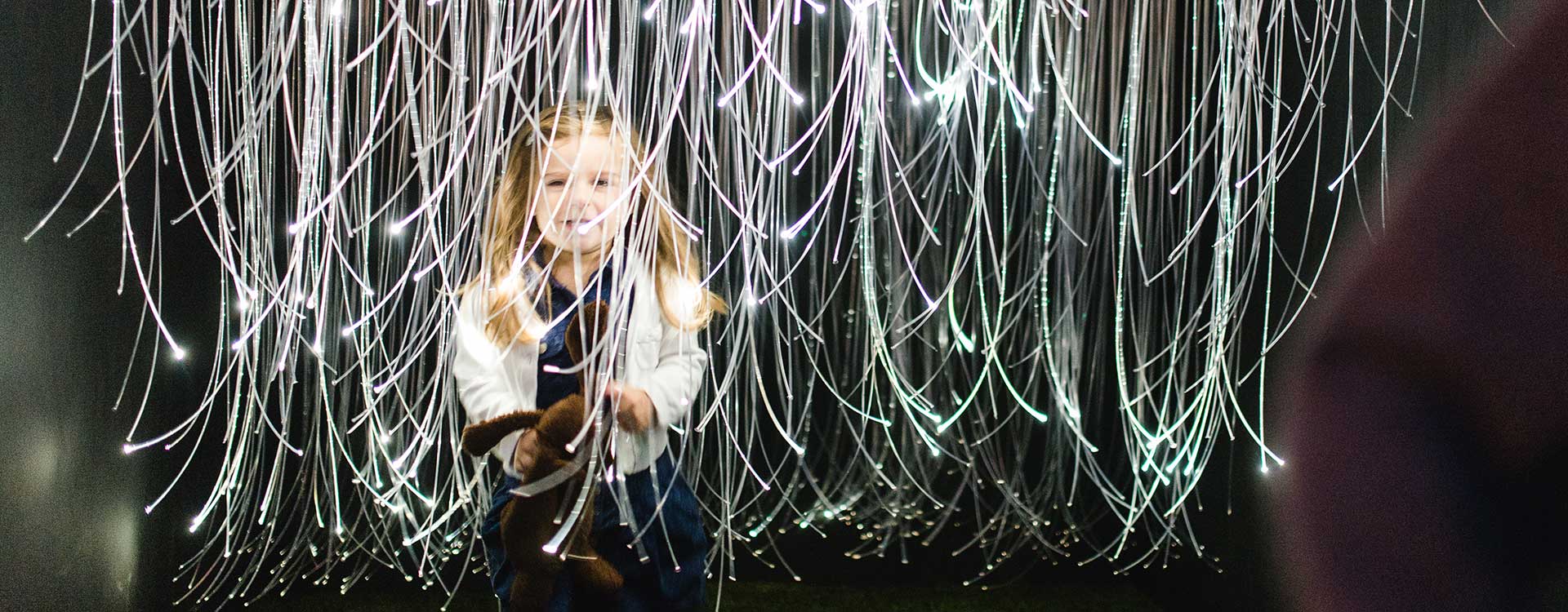fibre optic lighting in the garden of light